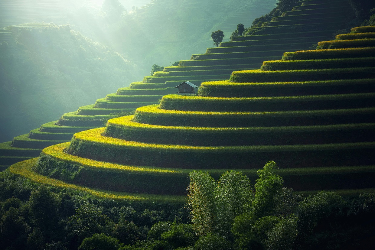 A Path to Efficiency and Growth